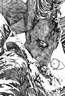 The Gunslinger Born #6 Variant Sketch Cover Image