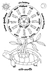 Click to enlarge Turtle Image