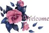 Welcome navy and pink flowers.jpg
