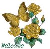 Welcome with bfly and roses.jpg