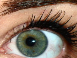 Bexocubic