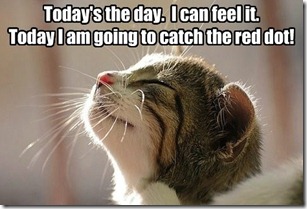 funny-pictures-think-positive-lil-kitteh11.jpg