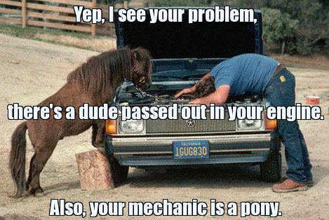 funny-pictures-pony-mechanic.png