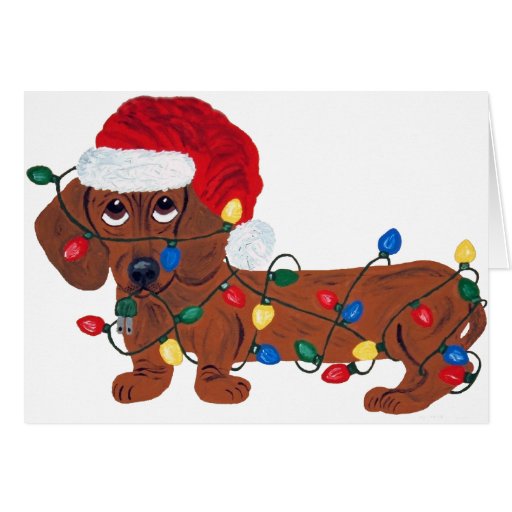 dachshund_tangled_in_christmas_lights_red_card-rc310cc5430584e54a923cba2a865591a_xvuak_8byvr_512.jpg