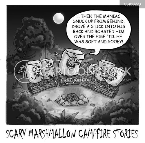 literature-marshmallows-campfires-camp-camping-fire-msin559_low.jpg