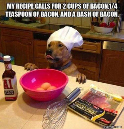 funny-dogs-and-food-02.jpg