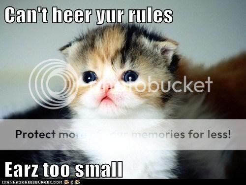 funny-pictures-cant-heer-yur-rules-.jpg