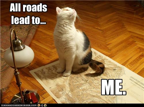 LOL-Cats_All-Roads-Lead.jpg