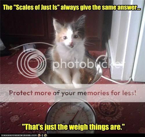 funny-pictures-the-scales-of-just-i.jpg