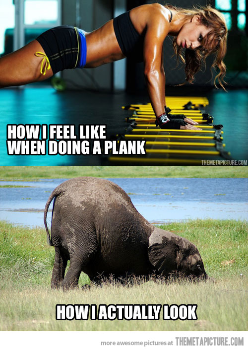 funny-girl-doing-planks-elephant.jpg
