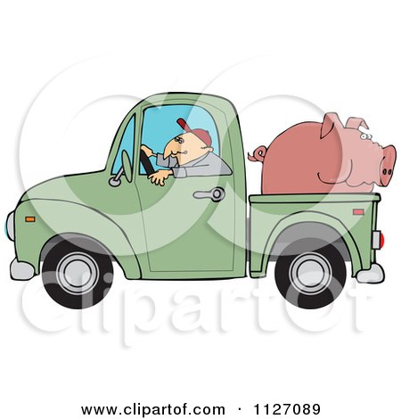 1127089-Farmer-Driving-A-Truck-With-Pig-In-The-Bed.jpg
