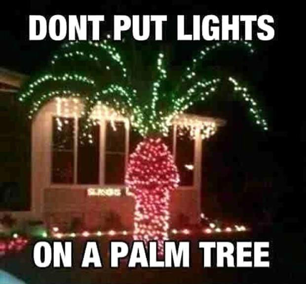a-never-put-christmas-lights-on-a-palm-tree.jpg
