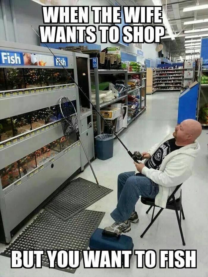 a2ce811ec13ce1c0de304add3e263186--funny-fishing-pictures-walmart-funny-pictures.jpg