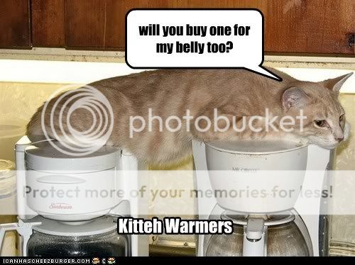 funny-pictures-kitteh-warmers.jpg