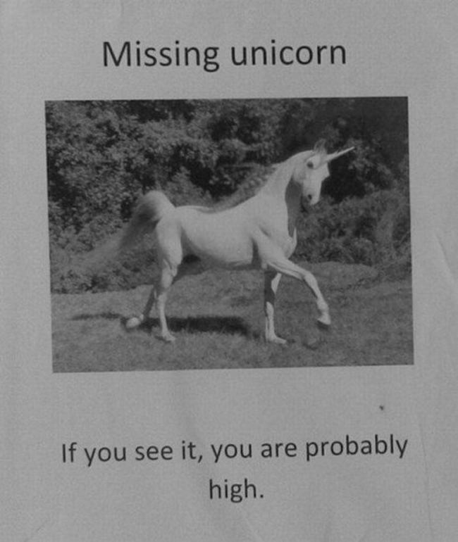Missing-Unicorn.jpeg