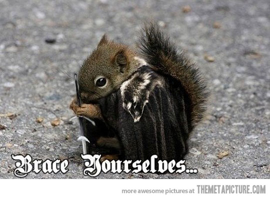 funny-squirrel-Boromir-brace-yourselves.jpg