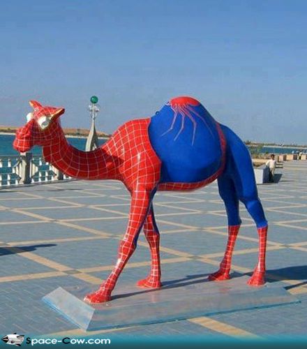 Camel+superhero+costume+funny+things+animals+costume.jpg