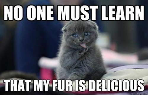My-fur-is-delicious-cat-meme.jpg