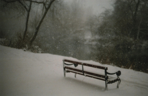 bench-christmas-lonely-snow-winter-Favim.com-114837.jpg