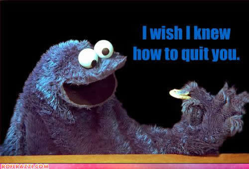 Cookie-Monster-is-an-Addict-my-universe-has-a-chocolate-river-20081731-500-340.jpg
