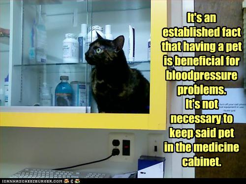 funny-pictures-cat-is-in-medicine-cabinet.jpg