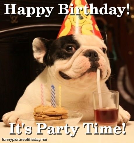 Happy-Birthday-Funny-Dog-Party-Time.jpg