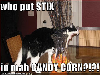 funny-pictures-candycorn-cat.jpg