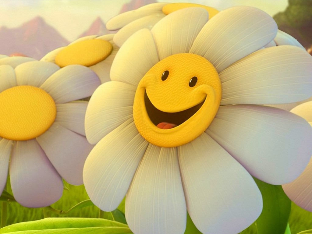 happy_smiling_daisy_flower.jpg