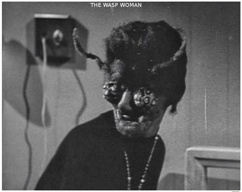 the+wasp+woman.jpg