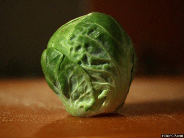 brussel+sprout+gif.gif