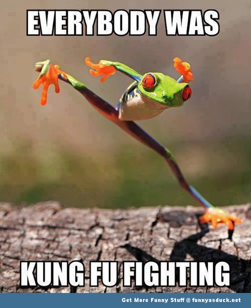 Kung-Fu-Frog-Meme.jpg