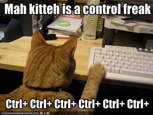 control-freak-cat.jpg
