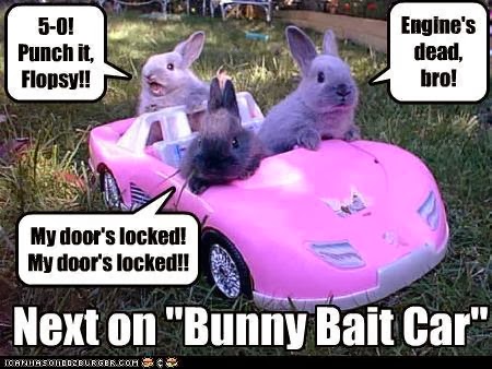 Bunny+bait+car.jpg