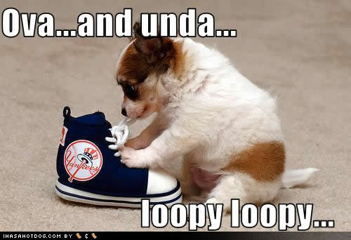cute-puppy-pictures-unda-loopy.jpg