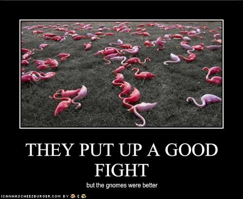 funny-pictures-the-lawn-gnomes-have-beaten-the-pink-flamingos.jpg
