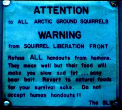 squirrel+sign.jpg