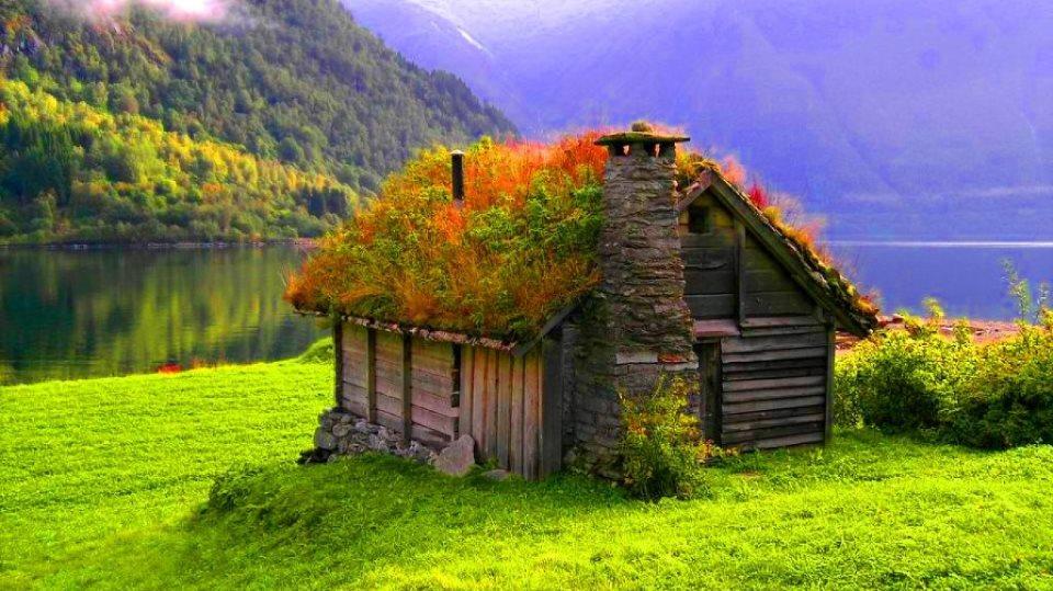 grass+roof+house+norway01.jpeg
