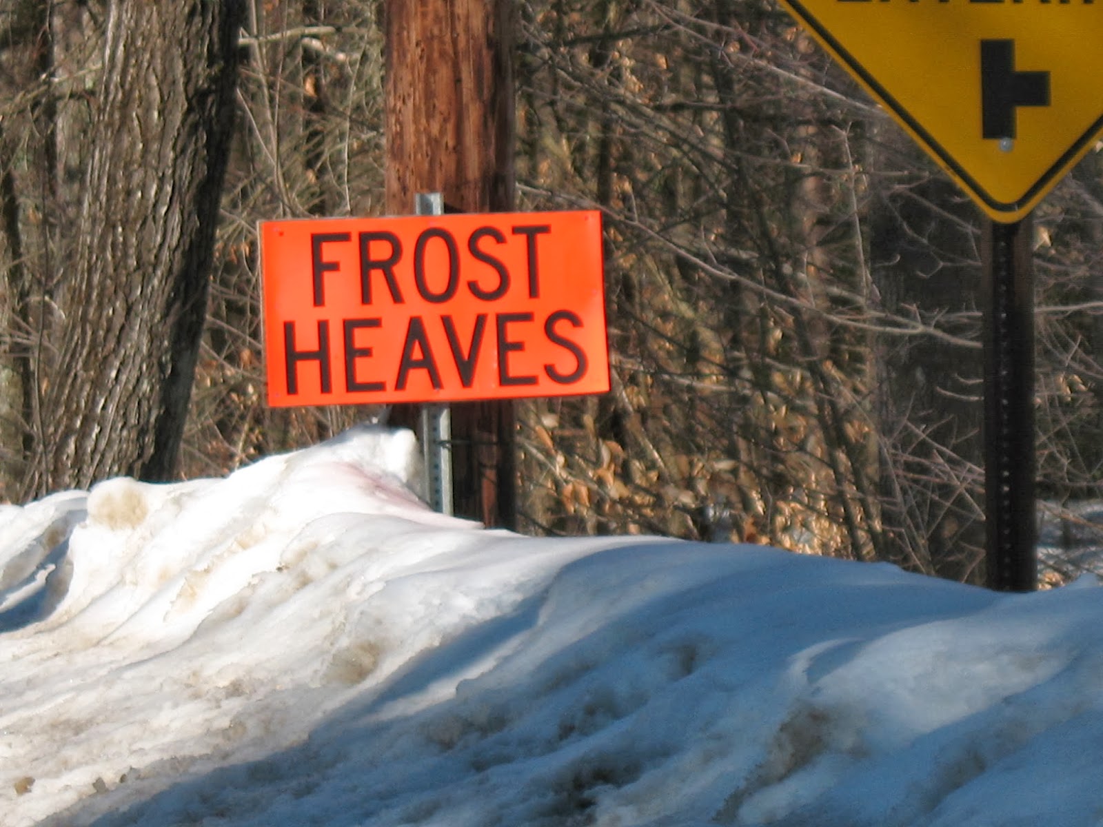 frost+heaves.jpg