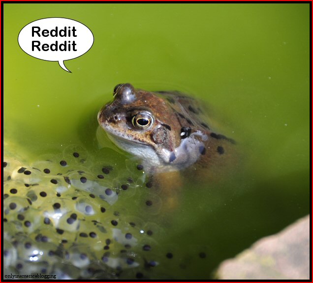 frog_reddit_reddit.jpg