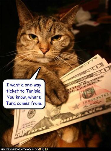 funny-pictures-i-want-a-one-way-ticket-to-tunisia-you-know-where-tuna-comes-from.jpg