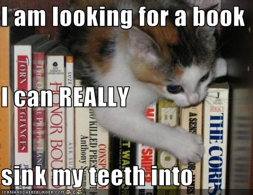 funny-pictures-kitten-looks-for-book.jpg