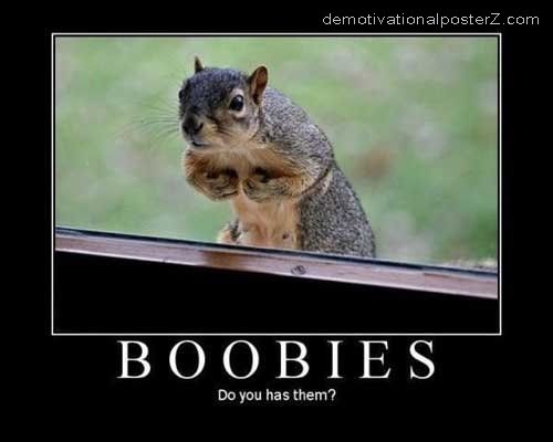 squirrel+boobies.jpg