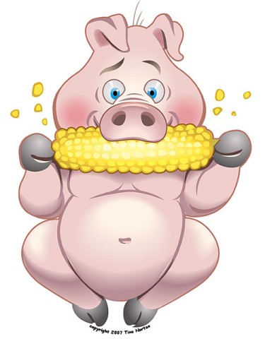 pig_eating_corn.jpg