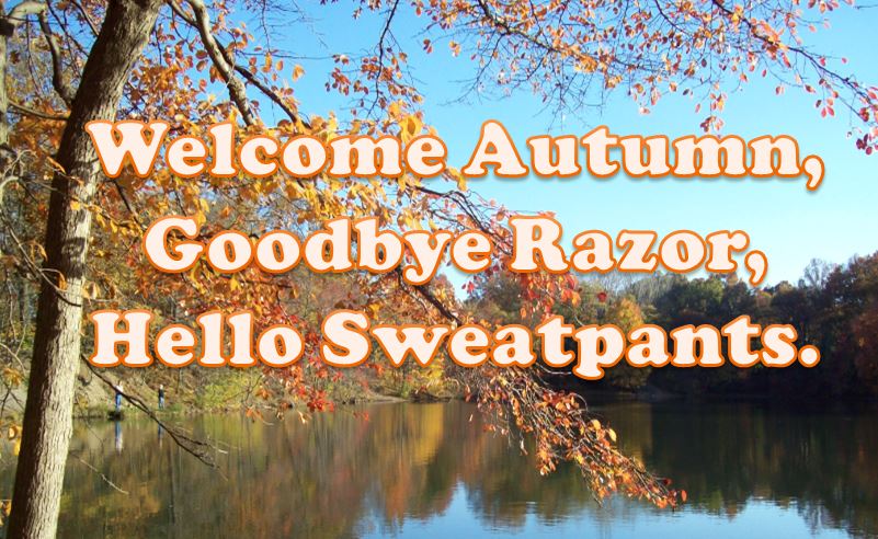 welcome+autumn+hello+sweatpants.JPG