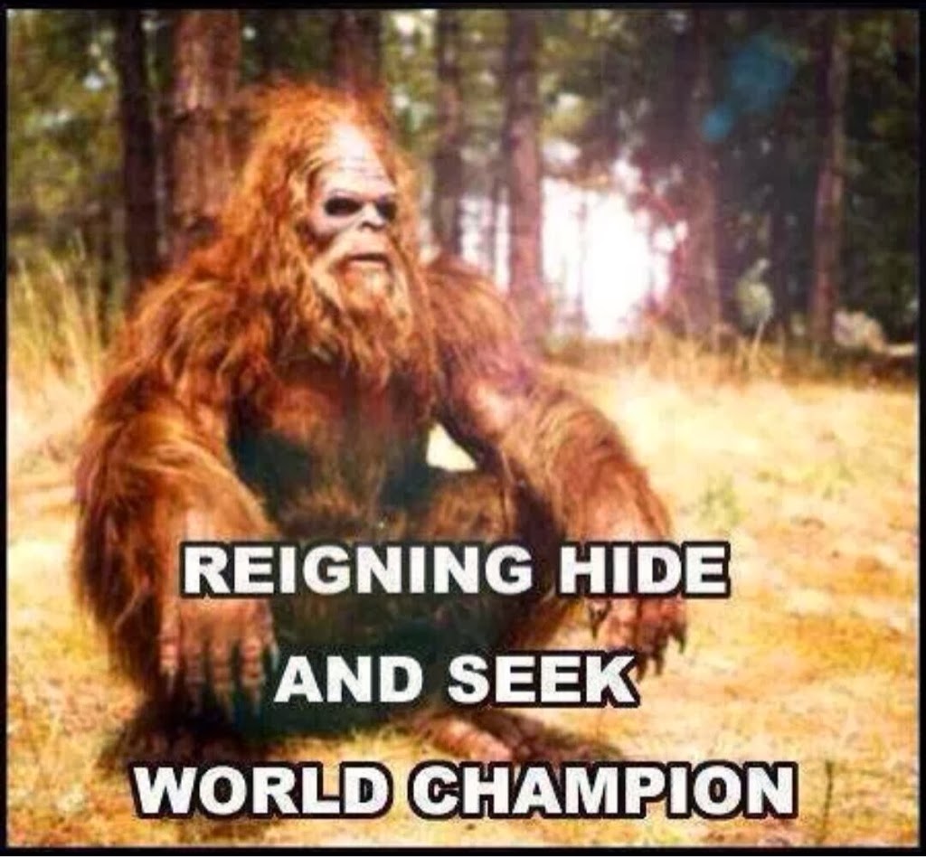 big+foot+is+the+hide+and+seek+champion+dr+heckle+funny+wtf+memes.jpg