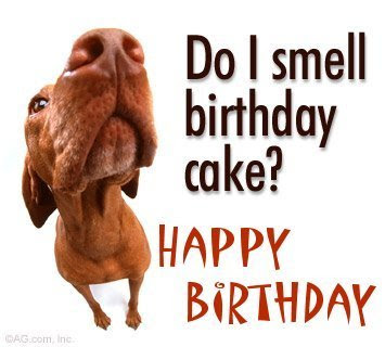 do_i_smell_birthday_cake.jpg