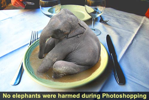 eat_the_elephant.jpg