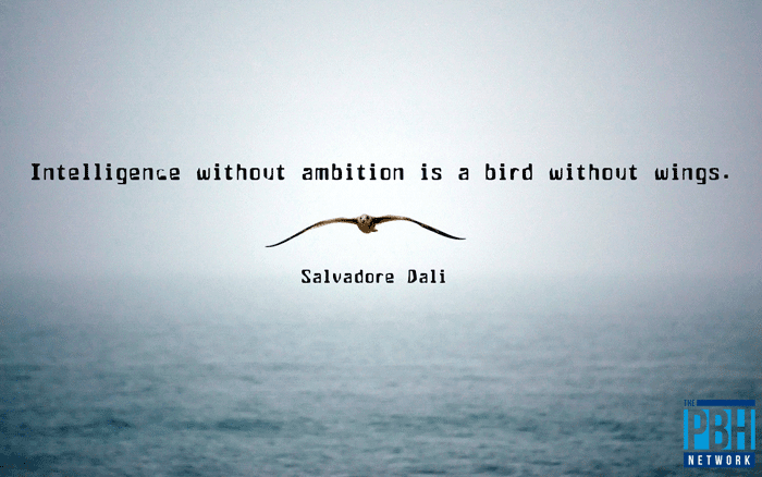 intelligence-without-ambition-dali-quote.png