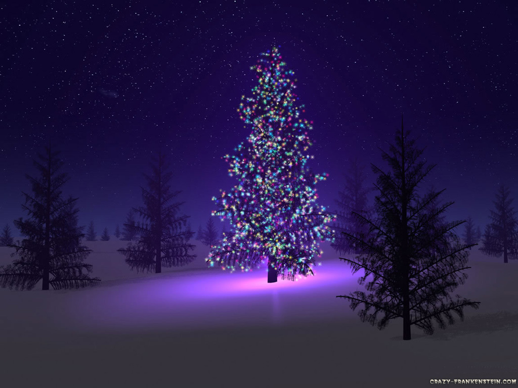 beautiful-christmas-tree.jpg