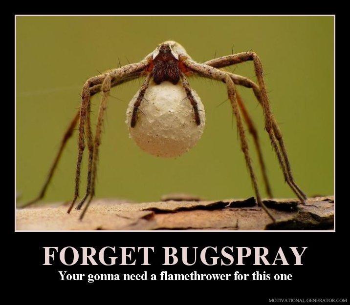 forget-bugspray-your-gonna-need-a-flamethrower-for-this-one-5f4f6a.jpg